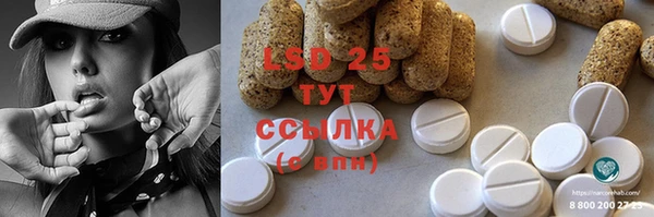 соль ск Кукмор