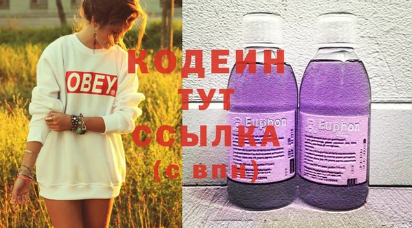 молекула духа Лабытнанги