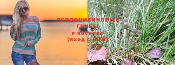 меф Ладушкин